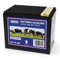 PILA ALKALINA 9V75AH