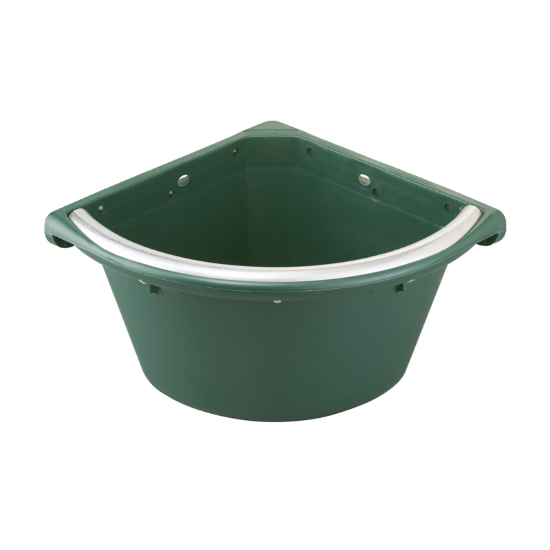 Mangiatoia angolare verde