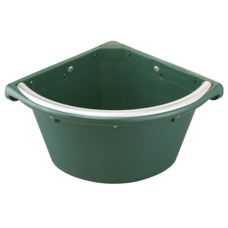 Mangiatoia angolare verde