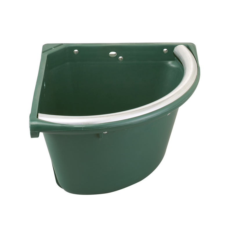 Mangiatoia angolare verde