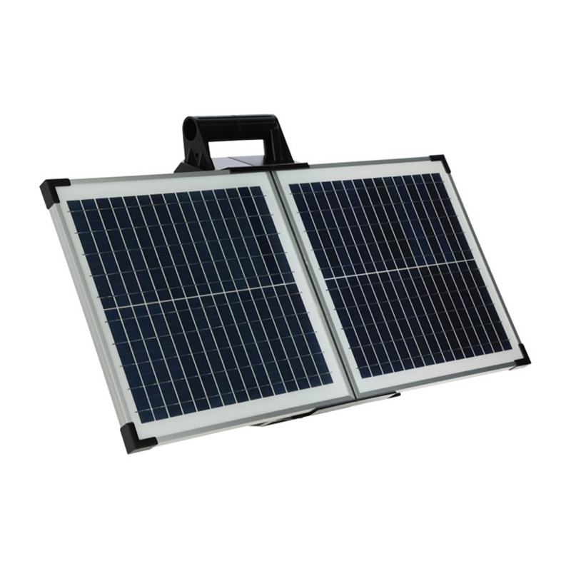 RECINTO ELETTRIFICATO 12V 4,2J 10500V