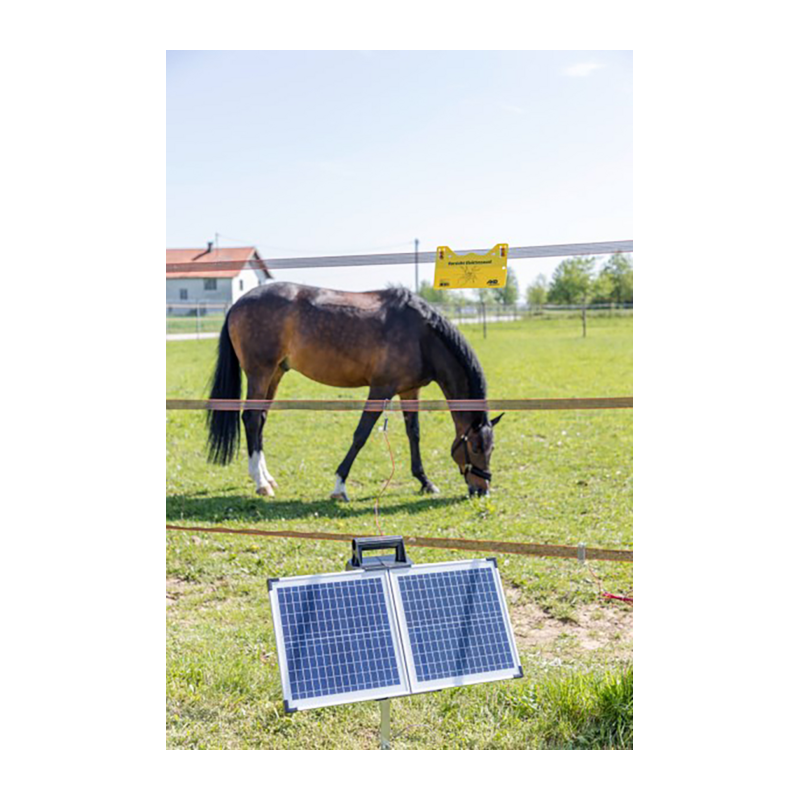 RECINTO ELETTRIFICATO 12V 4,2J 10500V