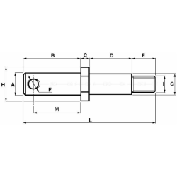 PERNO ATTACCO ATTREZZI Ø22-22 M20X1,5