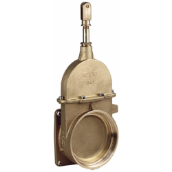 SARACINESCA A STANTUFFO 6"