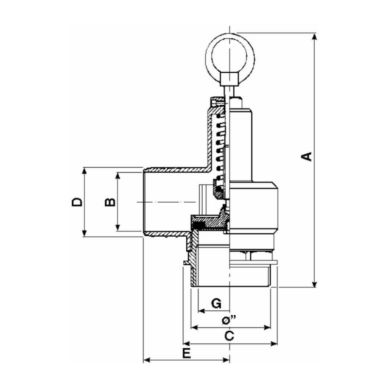 VALVOLA DI SICUREZZA CON PORTAGOMMA 2"