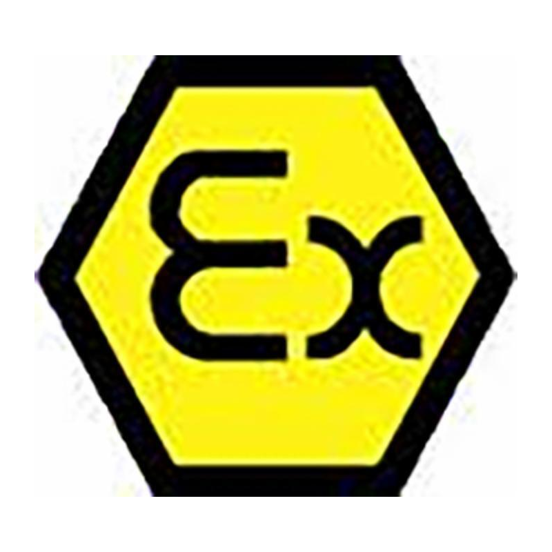 CONTALITRI ATEX K24 - BENZINA