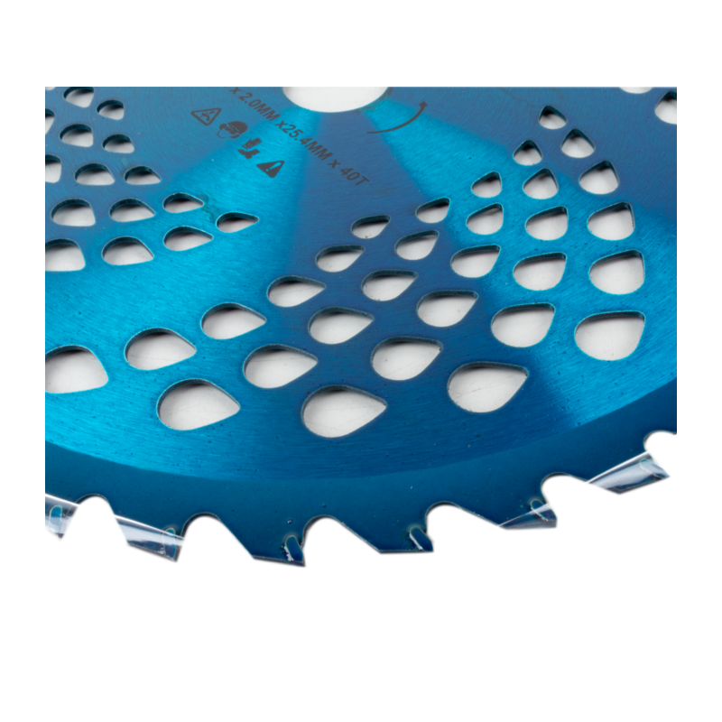 DISCO CON PLACCHETTE IN TUNGSTENO 40 DENTI Ø255 ANODIZZATO