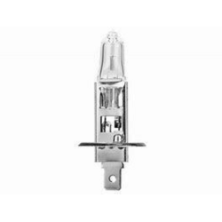 Lampadina alogena H1 24V 70W P14,5s