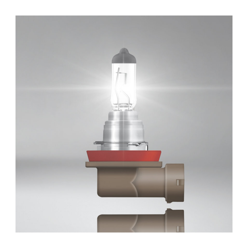 Lampadina alogena H9 12V 65W PGJ19-5