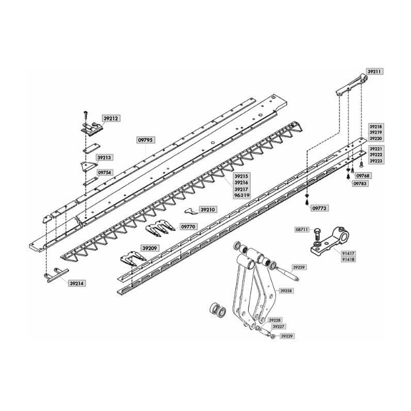 DENTE DOPPIO