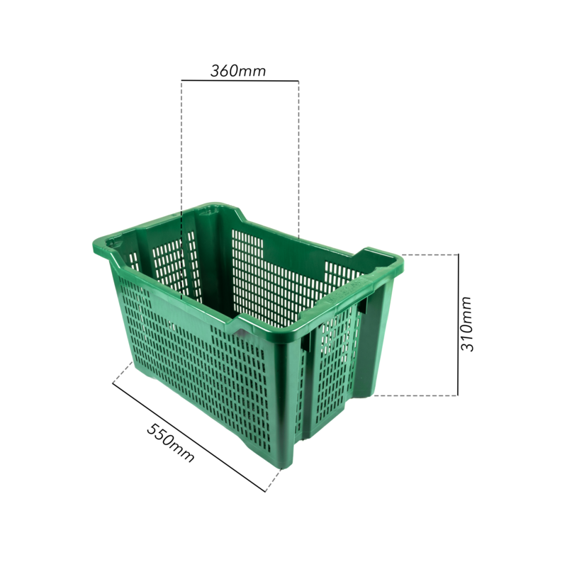 CASSETTA MULTIUSO APERTA, COLORE VERDE