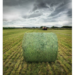 RETE PER ROTOPRESSA 123CM X 2000M CROSS XP