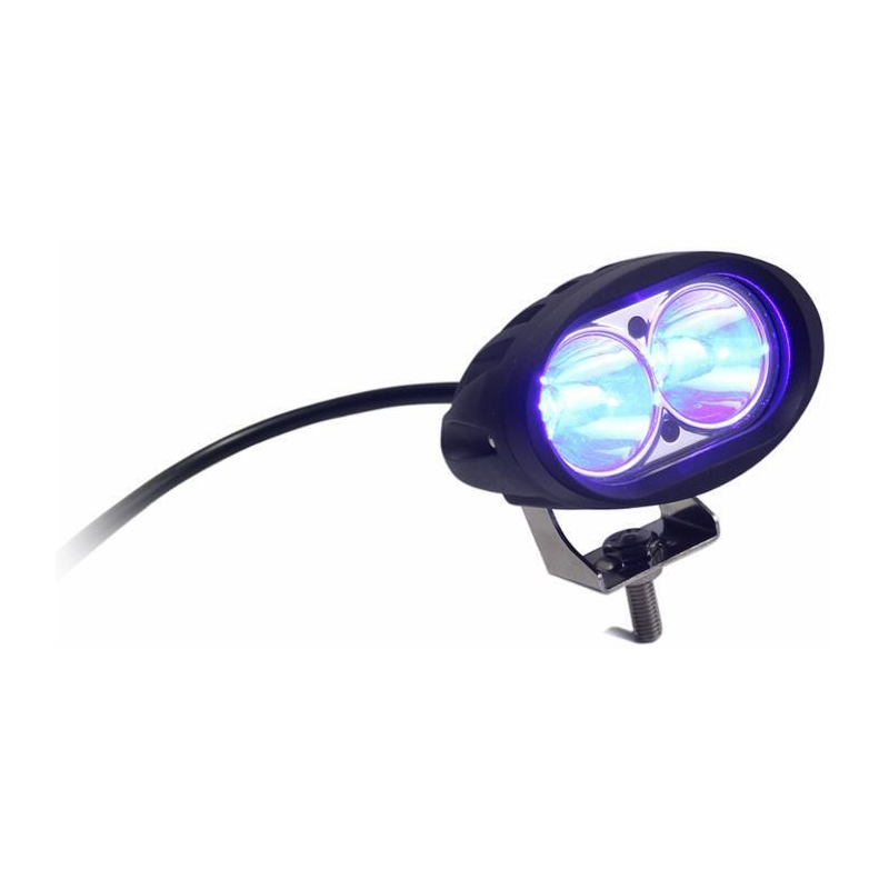 Faro lavoro ovale a LED luce blu 10-60V, 10W, 1000LM, 2 LED, carrello elevatore