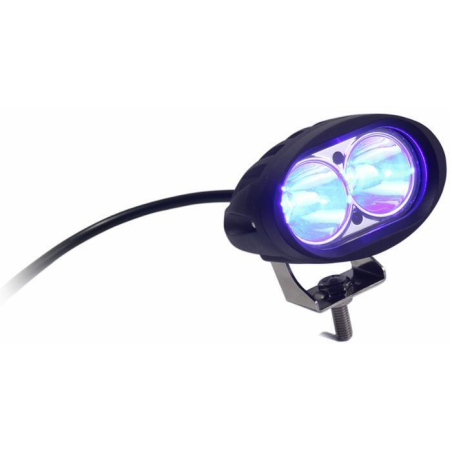 Faro lavoro ovale a LED luce blu 10-60V, 10W, 1000LM, 2 LED, carrello elevatore