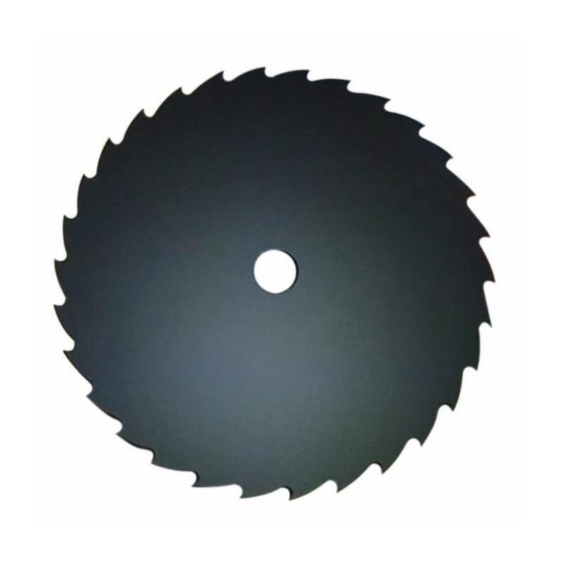 DISCO 30 DENTI Ø255 SPECIALE