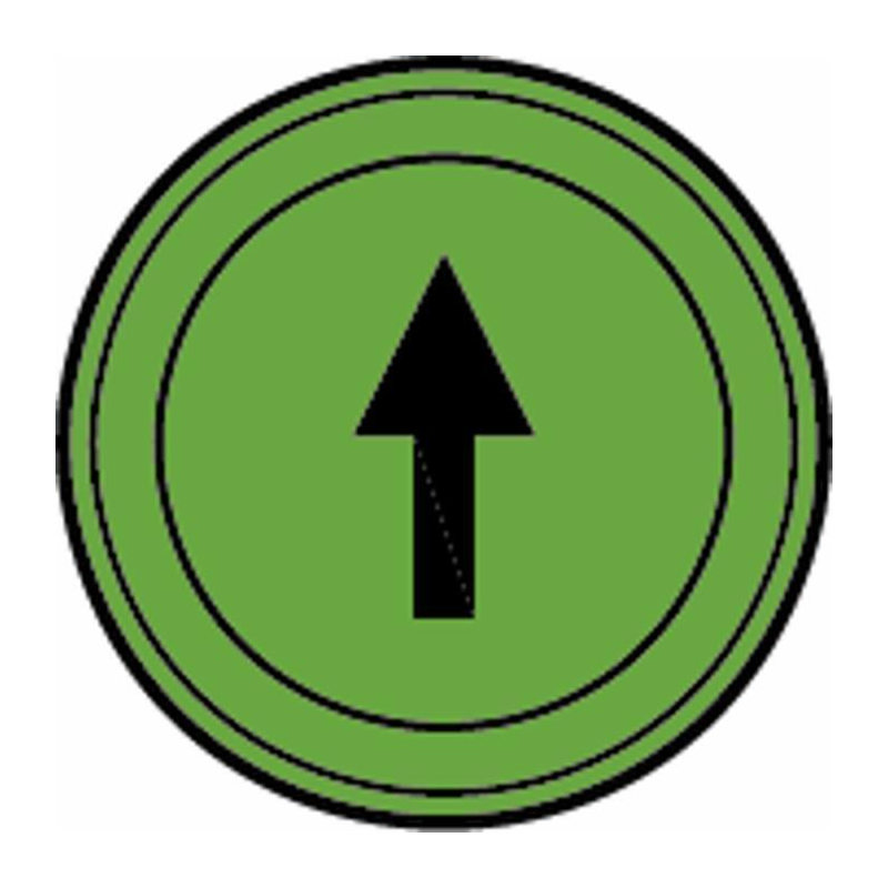 SPIA VERDE INDICATORE DI DIREZIONE