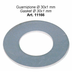 GUARNIZ. Ø30X1