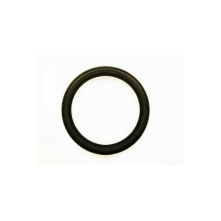 OR 2,62X25,07 VITON ARAG G11058V