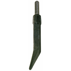 DENTE QUADRO 5