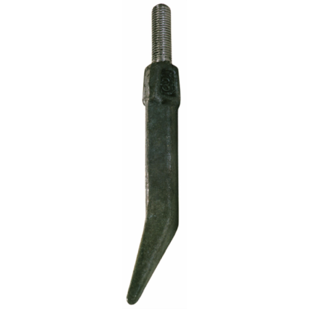 DENTE QUADRO 5