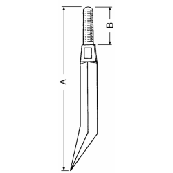DENTE QUADRO 5