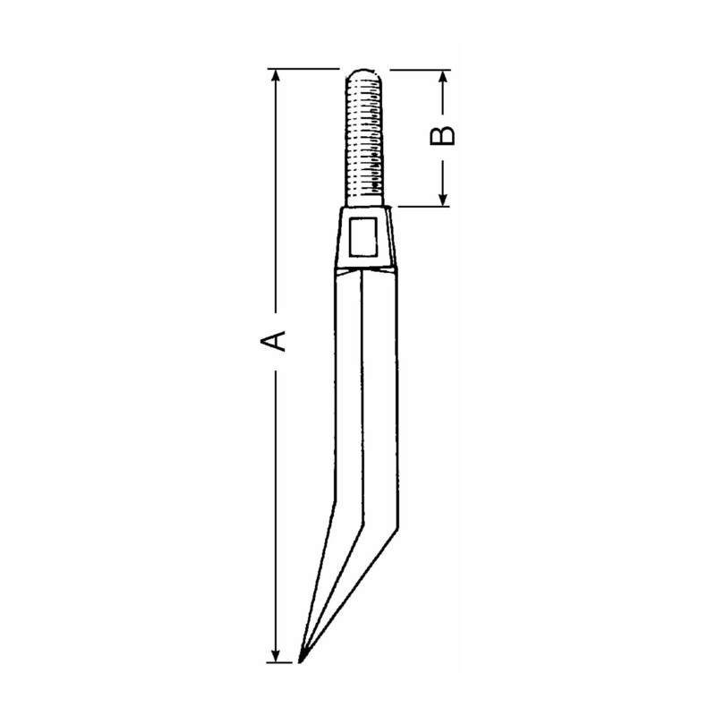 DENTE QUADRO 5