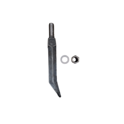 DENTE QUADRO 5