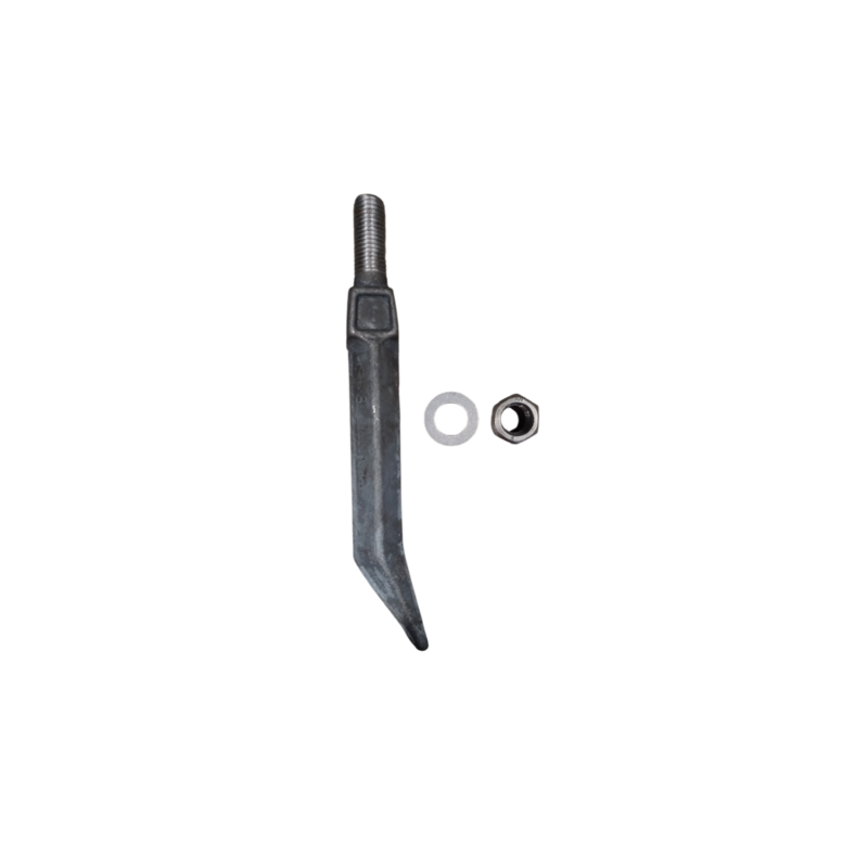 DENTE QUADRO 5