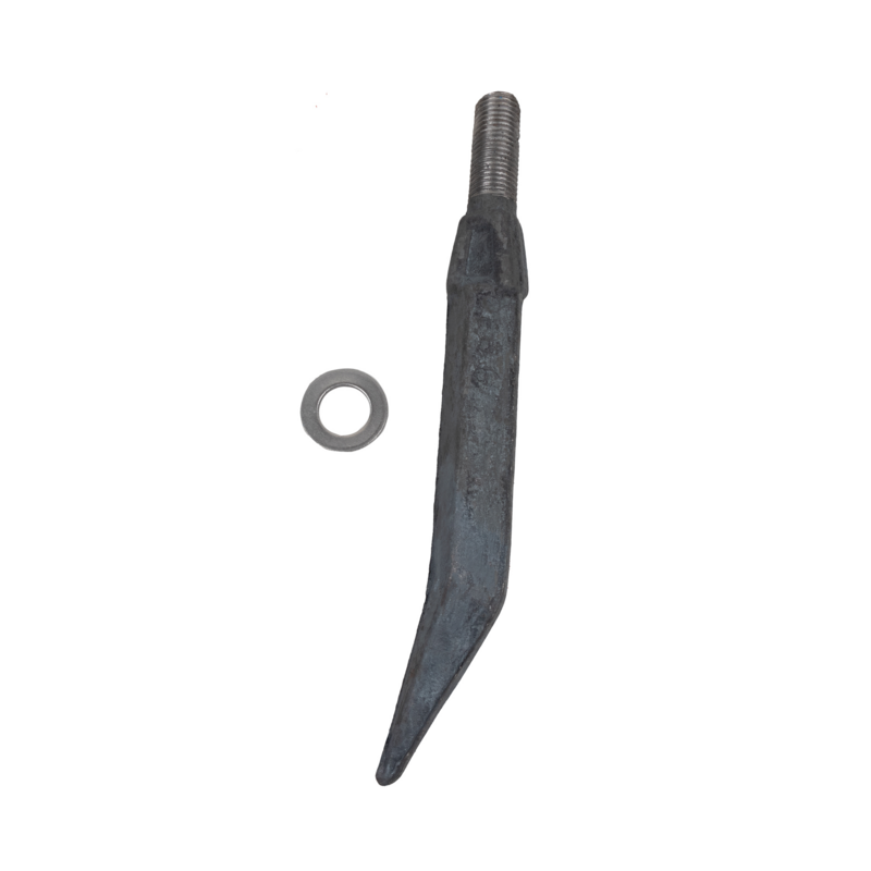 DENTE QUADRO 6