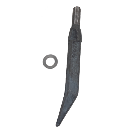 DENTE QUADRO 6