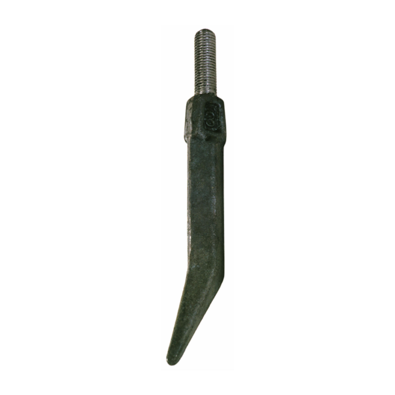 DENTE QUADRO 8
