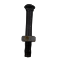BULLONE TESTA OVALE 10X70