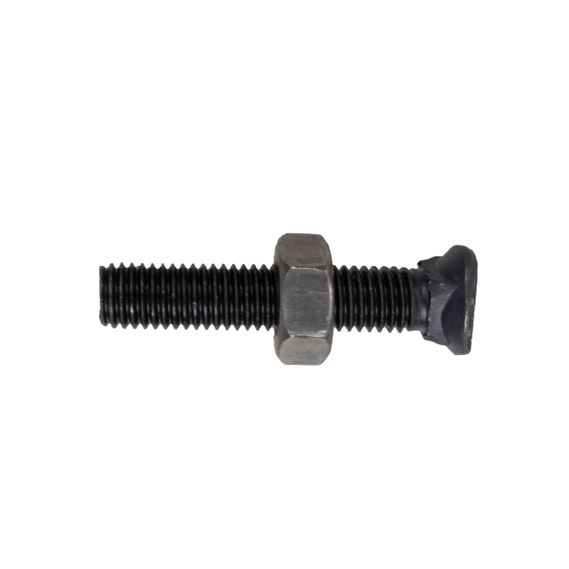 BULLONE TESTA OVALE 10X55