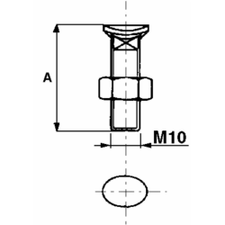 BULLONE TESTA OVALE 10X55