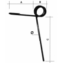 DENTE ERPICETTO ANT.L-260 & 10