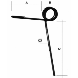 DENTE ERPICETTO ANT.L-260 & 10