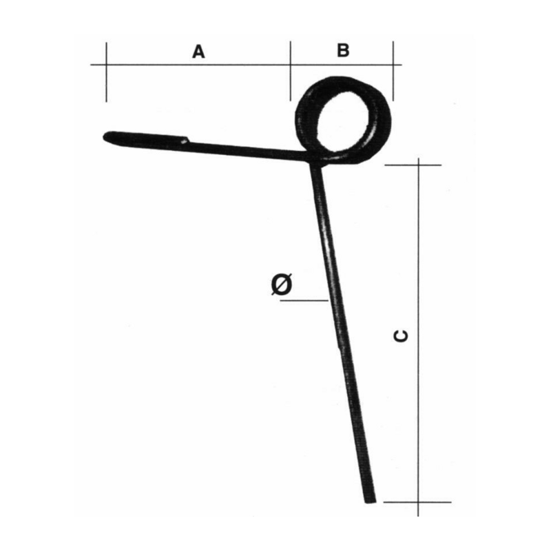 DENTE ERPICETTO ANT.L-260 & 10