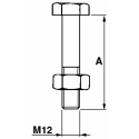 BULLONE T.E. 12X50 PER STAFFE