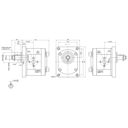 POMPA AD INGRANAGGI GRUPPO 2 DA 4,5cc DESTRA “MODELLO STANDARD” TIPO PLESSEY C10