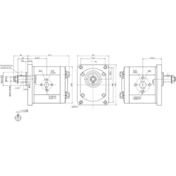 POMPA AD INGRANAGGI GRUPPO 2 DA 19cc DESTRA “MODELLO STANDARD” TIPO PLESSEY C42