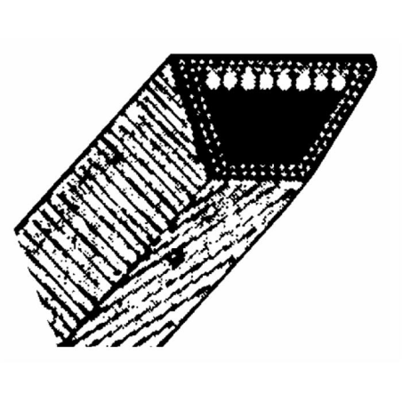 CINGHIA NOMA 49330