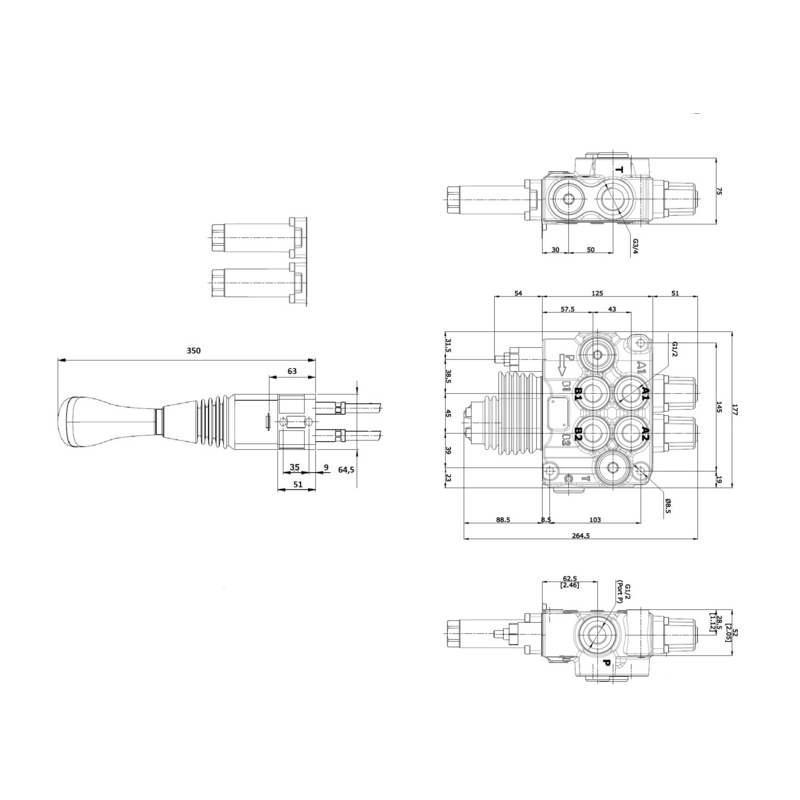 DISTRIBUTORE MODELLO "BASIC" A 2 LEVE DOPPIO EFFETTO 40 LITRI CON LEVA CLOCHE E CAVI L.1500mm