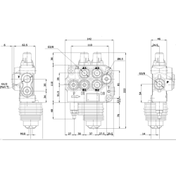 DISTRIBUTORE MODELLO "BASIC" A 2 LEVE DOPPIO EFFETTO 80 LITRI CON LEVA CLOCHE