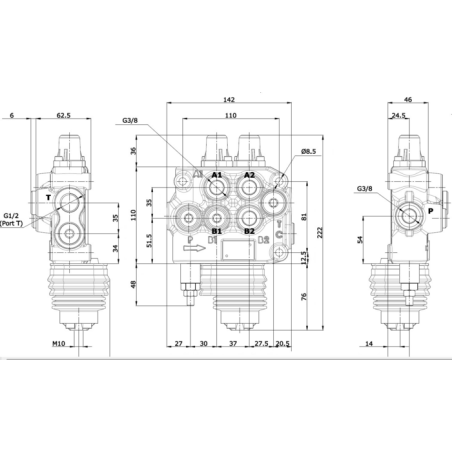 DISTRIBUTORE MODELLO "BASIC" A 2 LEVE DOPPIO EFFETTO 80 LITRI CON LEVA CLOCHE