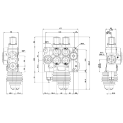 DISTRIBUTORE MODELLO "BASIC" A 2 LEVE 1° DOPPIO EFFETTO 2° DOPPIO EFFETTO FLOTTANTE 80 LITRI CON LEVA CLOCHE