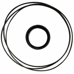 KIT GUARNIZIONI PER MOTORE ORBITALE BMP