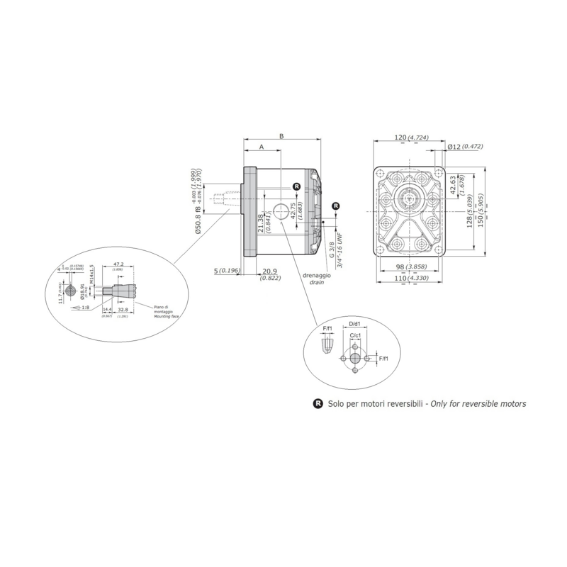 Motore ad ingranaggi gruppo 3 da 53 cc reversibile