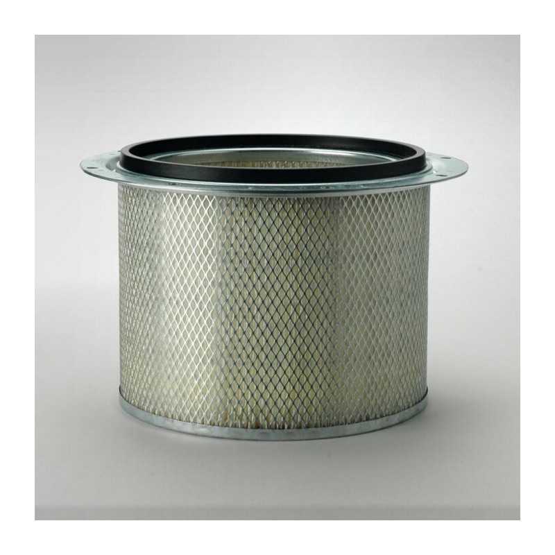 FILTRO PER L'ARIA, SICUREZZA RIF. DONALDSON P523048