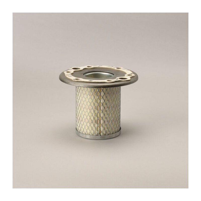FILTRO PER L'ARIA, SICUREZZA RIF. DONALDSON P527530