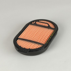 FILTRO PER L'ARIA, SICUREZZA OBROUND RIF. DONALDSON P615493